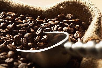 动视暴雪季度财报：营收增长19%至23亿美元