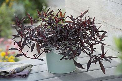 《火箭联盟》语音聊天功能即将回归